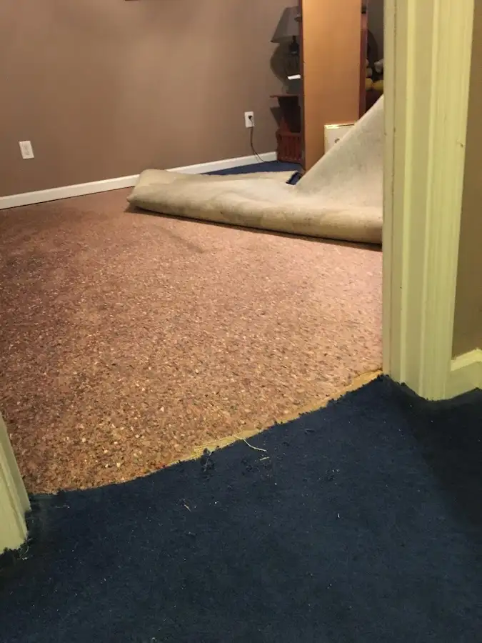 Carpet pad removal revealing water damage during Drying & Dehumidification in Fulshear