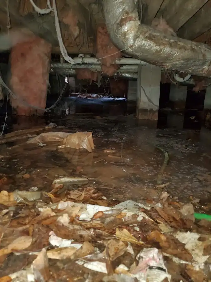 Crawl space flood assessment for Leak Detection & Repair in Fulshear